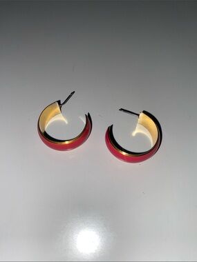 Gold Tone Trim Pink Hoop Earrings